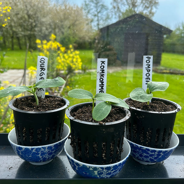 Makkelijke Moestuin -Airpotjes (5 stuks)